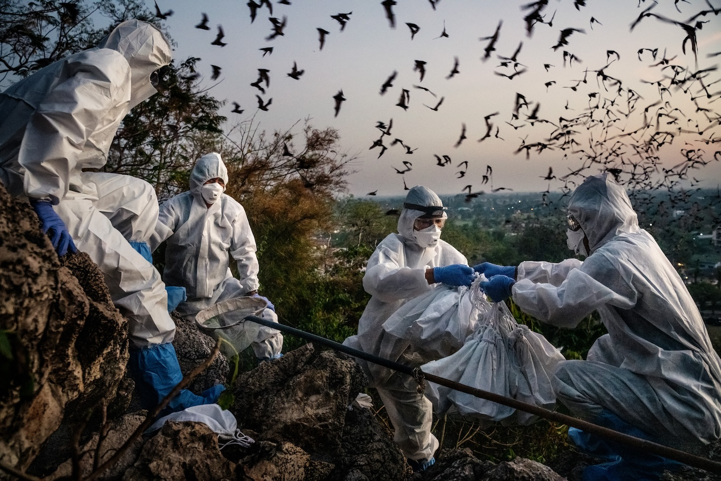 Tapahtuman oletuskuva