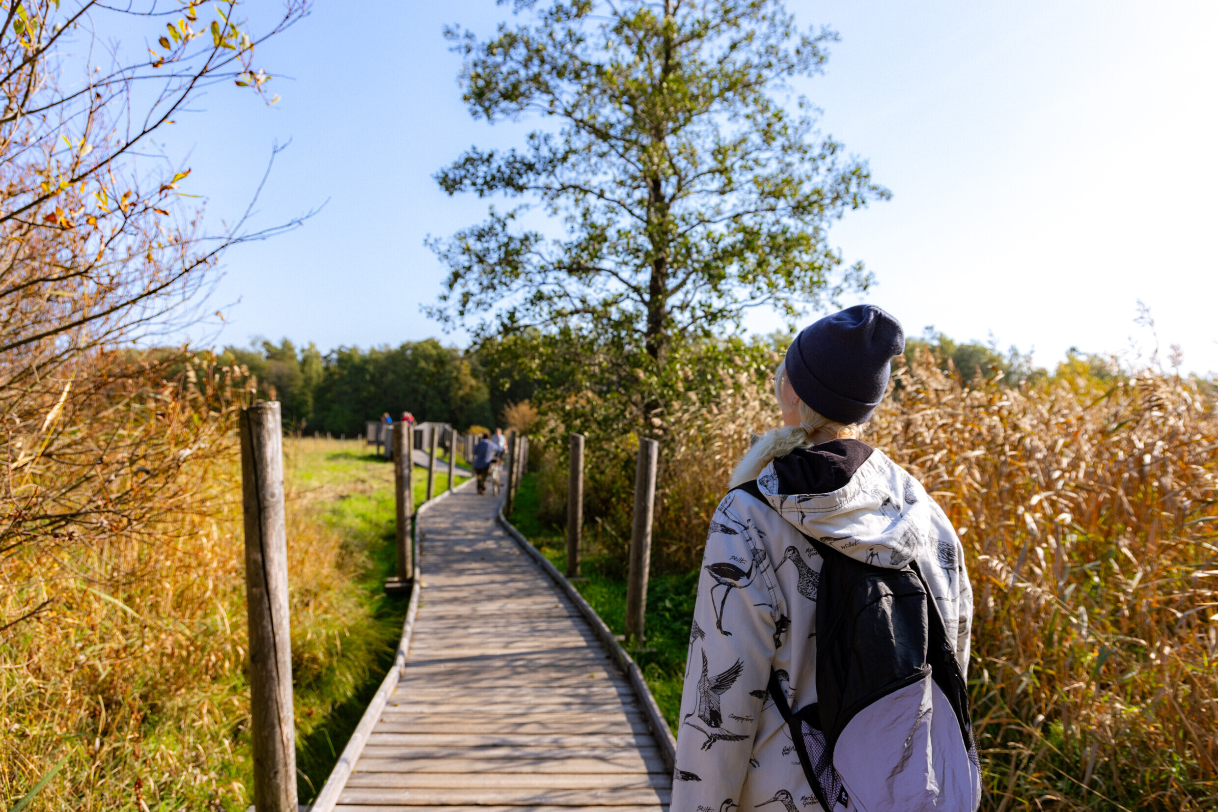 Tapahtuman oletuskuva